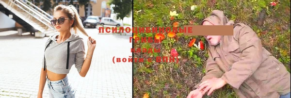 мескалин Алзамай