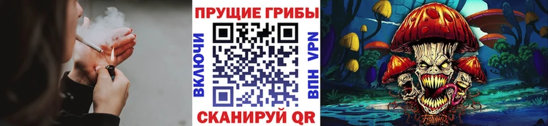 Псилоцибиновые грибы GOLDEN TEACHER  сколько стоит  Новоалександровск 